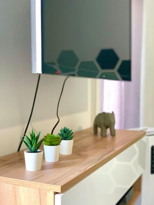 Esprit Cosy Au Centre Historique Apartment Toulon Bagian luar foto
